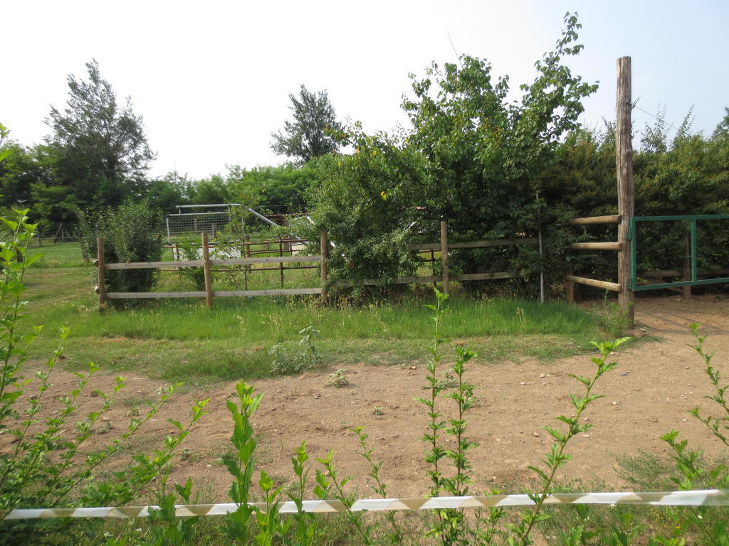Bedizzole Agriturismo Parco Del Chiese المظهر الخارجي الصورة