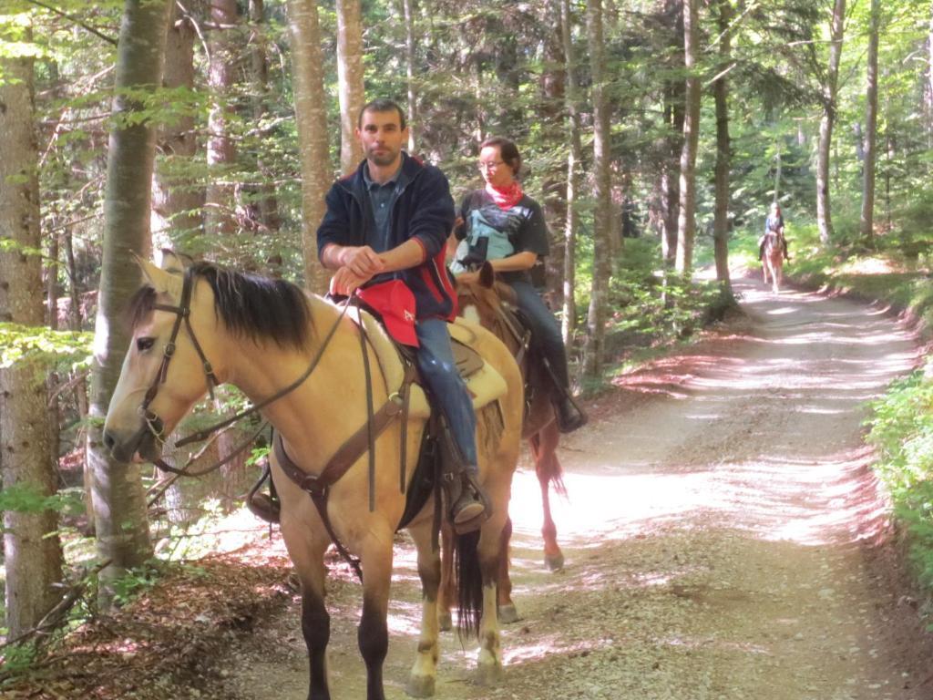 Bedizzole Agriturismo Parco Del Chiese المظهر الخارجي الصورة