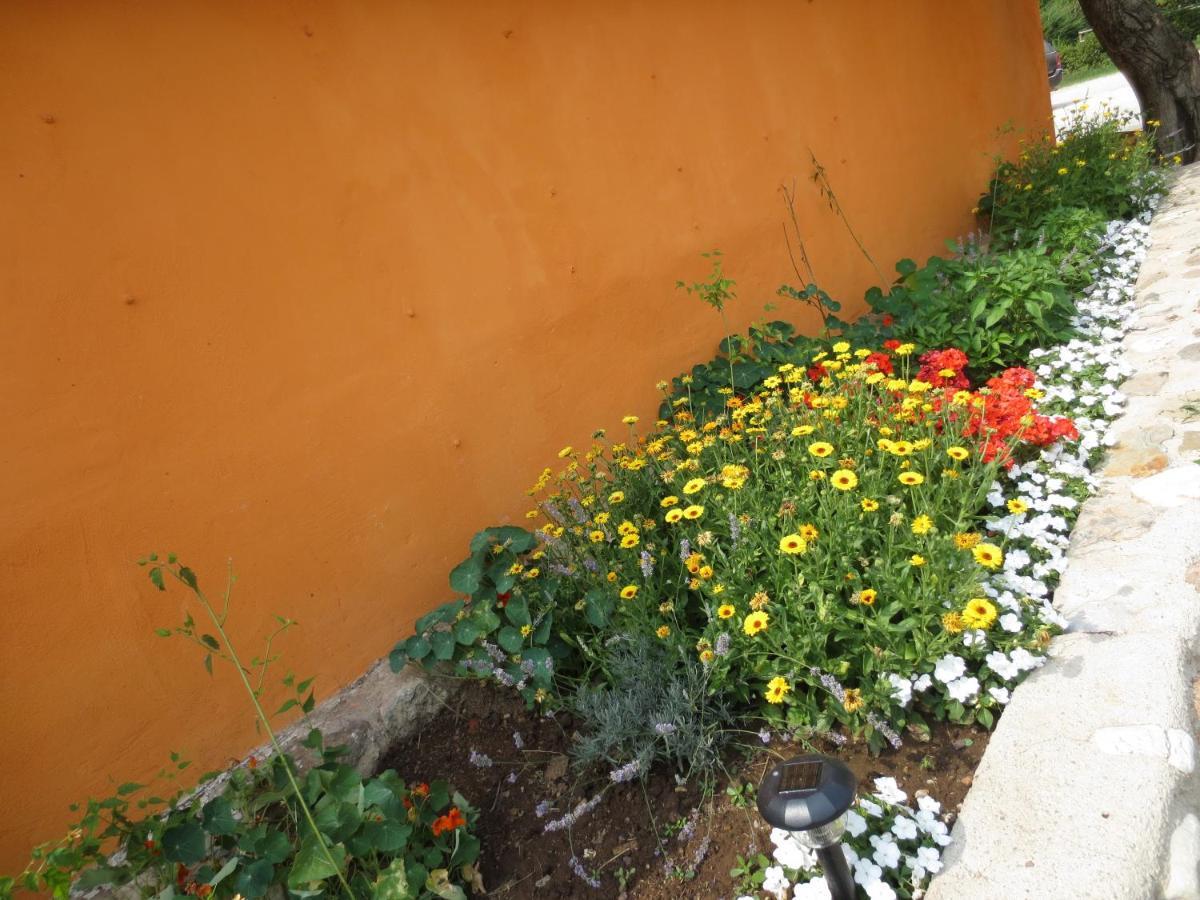Bedizzole Agriturismo Parco Del Chiese المظهر الخارجي الصورة